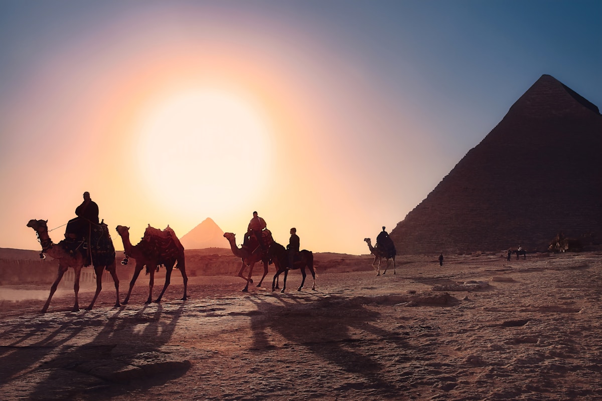 Pyramids of Giza with camel at sunset